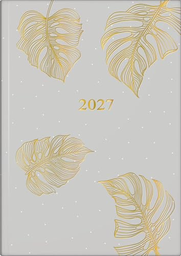rido/idé 7028507037 Buchkalender Premium Young Line 2027 Monstera A5, Papier: 1 Seite = 1 Tag
