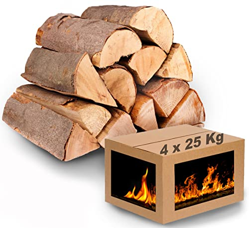 Brennholz für den Kamin Holzarten wählbar, 7 bis 450 Kg Kammergetrocknetes Kaminholz Buche 100 Kg - 4 Kartons, Holzstück 25 - 33 cm, U-8x21-5