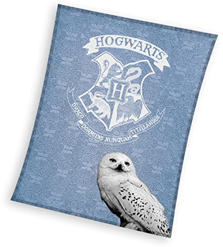 Decke Kuscheldecke Kinderdecke Jugenddecke 100% Polyester Coral 130x170 cm Harry Potter Eule Hedwig