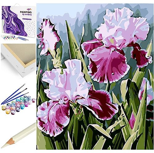 ARTNAPI Malen nach Zahlen Erwachsene mit Rahmen | DIY Handgemalt | Blumen - Schwertlilien | Kit für Anfänger und Erwachsene | Set inklusive Acrylfarben & Pinsel | 40x50cm Leinwand | Ideal als Geschenk