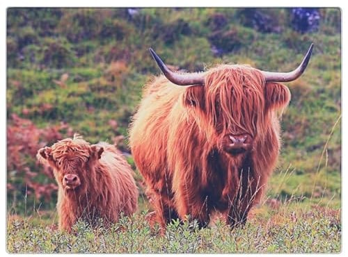 Country Highland Cow & Calf Chopping Cutting Board Worktop Saver Tempered Glass