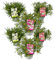 Plant in a Box - Rhododendron 'Azalea StarStyle' - 6er Set - Japanische Azalee - Topf 10,5cm - Höhe 25-40cm - Gartenpflanzen - Winterhart