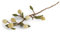 Gry & Sif Zweig mit Zitonen, Fairtrade, Handmade, Wohndekoration, Sommerdekoration, Geschenkidee, Geburtstagsgeschenk, Vasenschmuck, 60cm