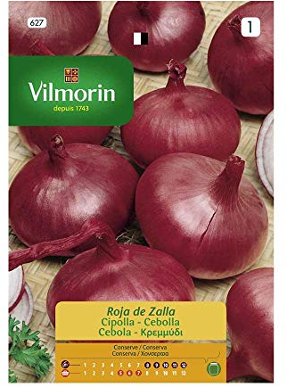 Semillas de Cebolla Roja de Zalla VILMORIN, 3gr