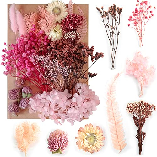Cleminsta Lot de Fleurs séchées Naturelles pour Loisirs créatifs, moules en résine époxy, Fleurs Rouges Naturelles mélangées, Accessoires de Scrapbooking, Fabrication de Cartes (Rose)