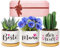 Giftasy Geschenke Mama Geburtstag, Beste Mama der Welt Kräutergarten Geschenke, Muttertag, Muttertagsgeschenk, Geburtstagsgeschenk
