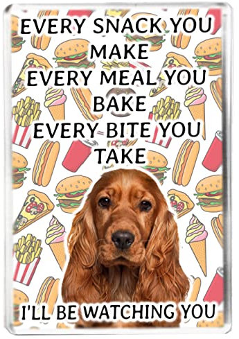 Every Snack You Make - Cocker Spaniel - Funny Pet Owner Quote - Dog Mum/Dad - Fridge Magnet - Novelty Gift