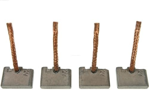 AS-PL SB0009S Starter Brush Sets/Starter Brushes