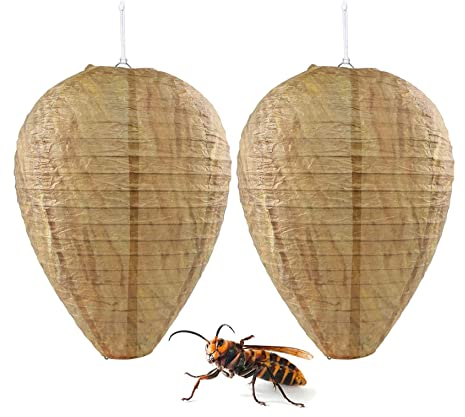 BOBOZHONG nid de guepes,2pcs Wasp Nest Naturel Faux Nid de Guêpe Répulsif Coffre-Fort Faux Piège Non-Toxique Appât de Nid de Guêpe, Utilisé dans Les Maisons et Les Jardins Extérieurs pour