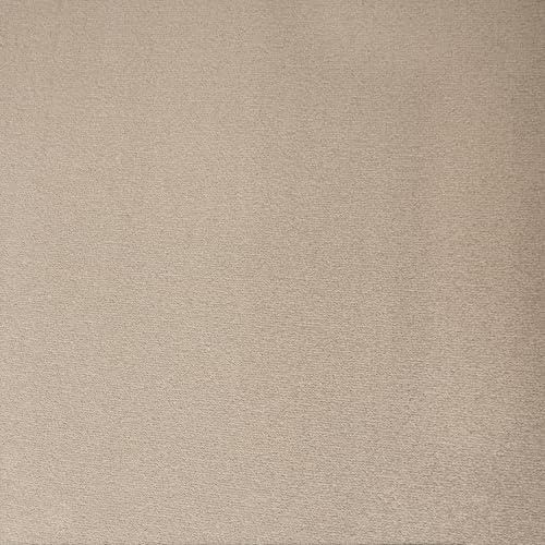 Underfoot Durable Twist Pile Carpet | Action-Backed Carpet | Bleach-Cleanable & Stain-Resistant | Elegant Carpets Colours (Cream, 4m x 2m)