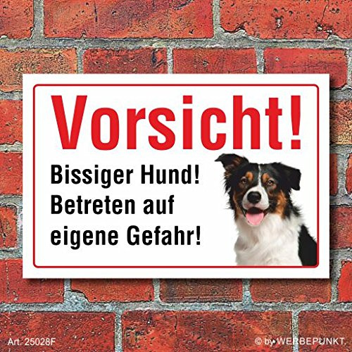 Schild Vorsicht Bissig Border Collie Hund Motiv 5 300 x 200 mm | 3 mm Alu-Verbund, wetterfester UV-Direktdruck, robust und langlebig, Made in Germany