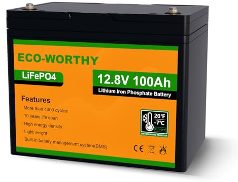 ECO-WORTHY LiFePO4 Batteria Litio 12v 100Ah con Protezione BMS a Bassa Temperatura e 4000+ cicli, Batteria da 1280Wh per Camper, Barca, Casa, Kit di Pannelli Solari, Campeggio