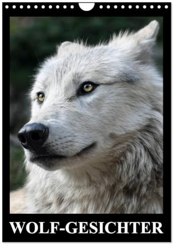 Wolf-Gesichter (Wandkalender 2026 DIN A4 hoch), CALVENDO Monatskalender: Wölfe sind zum heulen schön! (CALVENDO Tiere)