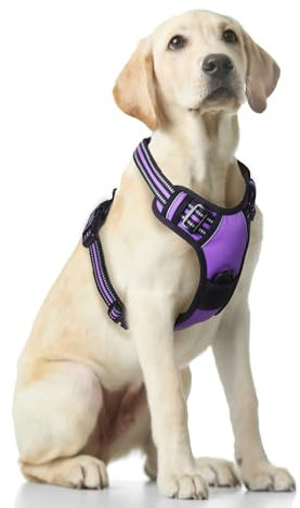 Funfox Hundegeschirr für Mittelgroße Anti Zug Brustgeschirr Einstellbar Geschirrset Mittlere Hunde No Pull Geschirr Hund Antiziehgeschirr für Grosse Hunde Atmungsaktiv Dog Harness Lila M