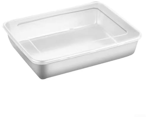 Vassoio rettangolare in acciaio inox elegante ed elegante, perfettamente adatto per grigliare