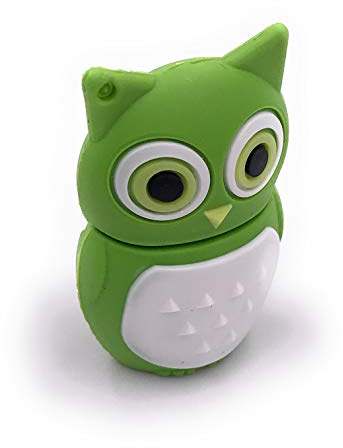 H-Customs Eule Vogel Grün USB Stick 8GB USB 2.0
