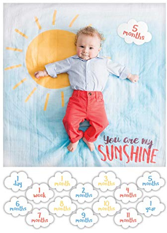 Lulujo LJ588 Changing/Photo Card Set