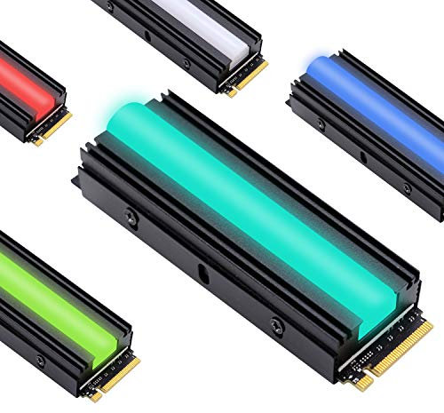 EZDIY-FAB Dissipatore SSD SATA NVMe NGFF M.2 RGB 12V per SSD 2280 M.2,con Protezione Termica (SSD non Incluso)
