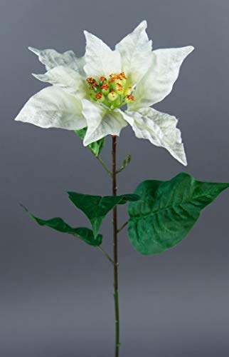Seidenblumen Roß Weihnachtsstern 56cm weiß AR Kunstblumen künstliche Blumen Poinsettie künstlicher Weihnachtsstern (Weiß)