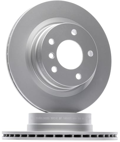 DELPHI BG3901C 2x Bremsscheiben Hinten Ø300mm Belüftet Kompatibel mit BMW 3 Touring E91 34216764651 3421679222 34216792227