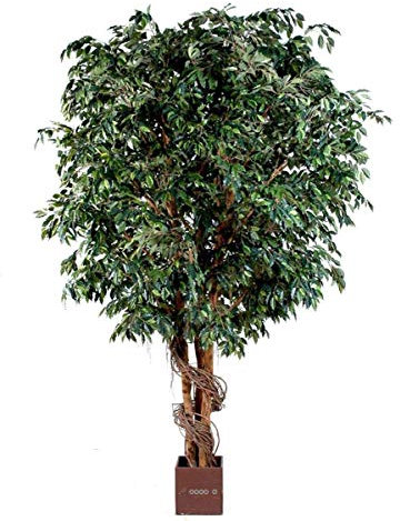 Artificielles.com - Giant Artificial Ficus Benjamina Plant Height 320 cm Length 130 cm 8448 leaves in pot - Dimensions: Height 320 cm - Colour: Green