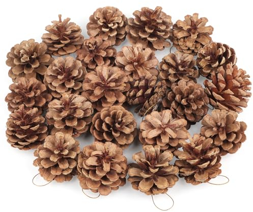 Larber 24 Pezzi Pigne Naturali 5cm con Cordino - Decorazioni Natalizie per Albero di Natale - Pigne di Pino Naturale per Decorazione Invernale