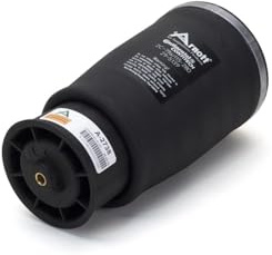 Arnott Air Suspension A-2738 Luftfederung