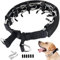 Collier de Dressage à Griffes pour Chien, Collier de chaîne réglable avec Embouts de Confort et Boutons-Pression à dégagement Rapide (XL)