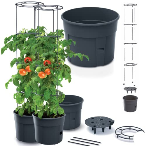 2er Tomatenpflanze Set Pflanzkübel Tomato Grower Pflanzen Tomate Garten Terrasse 29,5 x 15,3 (IPOM300) Anthrazit