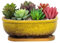 ARTKETTY Vasi rettangolari con scolapiatti ideali per piante d'appartamento come piante grasse, cactus o bonsai. Decorazione perfetta per davanzale o casa, in ceramica di alta qualità
