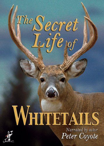 Secret Life of Whitetails, The