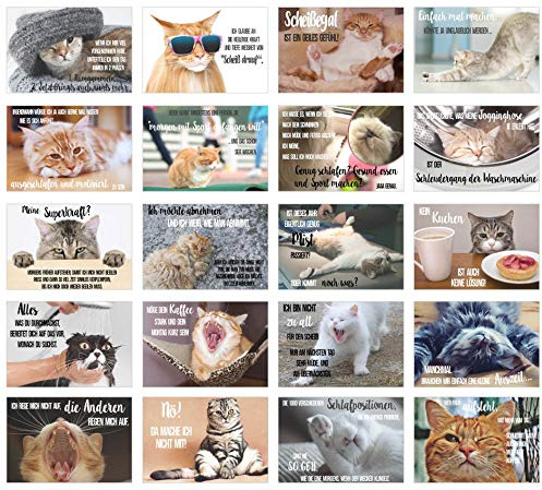 Edition Seidel Set 40 Katzen Postkarten mit lustigen Sprüchen (2 x 20) - Karten mit Spruch - verrückte Katzen - Geburtstag - Motivation (40 Karten)
