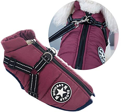 Hundejacke mit Geschirr für kleine Hunde, Outdoor-Hunde-Sportweste, warmer Haustier-Winterjacke für Katzen, Welpen, kleine Hunde