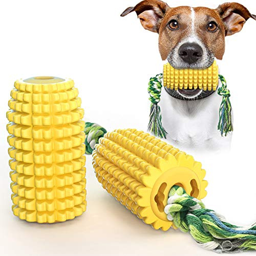 Chew Toy for Dog - Dog Toothbrush - Interactive Dog Toy - Accessory for Small and Medium Sized Dogs