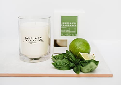 James & Co Nr. 11 Limette (Limette, Basilikum und Mandarine), 266 ml, natürliche Duftkerze, bis zu 35 Stunden Brenndauer