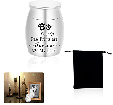Bansusu Small Cremation Urns for Ashes, Stainless Steel Memorial Keepsake, Mini Funeral Urn for Human and Pet Ashes with Velvet Bag, No Longer By My Side, But Forever In My Heart (Silver)