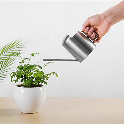 Queen.Y Mini Arrosoir en Acier Inoxydable à Long Bec Arrosoir Pot pour Plante Verte Domestique Irrigation Bonsaï 300 ML