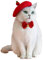 SUYUKU Katze Hut Baskenmütze Katzenbekleidung Mit Katzenhalsband Schleife Kopfbedeckung für Katzen Welpen Haustier Kostüm für Katzen (Rot)