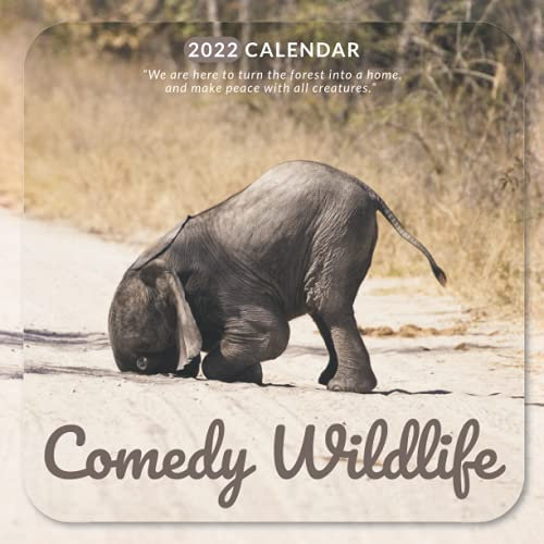 Comedy Wildlife 2022 Calendar: From January 2022 to December 2022 - Square Mini Calendar 8.5x8.5 - Small Gorgeous Non-Glossy Paper
