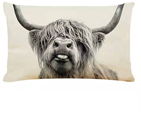 RYKEEN Dekorativer Kissenbezug mit Kuhmotiv, interessanter, Hochland-Kuh-Druck, dekorativer Kissenbezug für Couch, Sofa, Bett (30,5 x 50,8 cm)