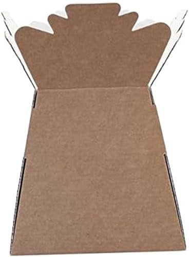 Floralcraft Hand-Tied Living Vase Florist Bouquet Box, Presentation/Transporter Box/Flower Plant Aqua Boxes (Natural, Pack of 10)