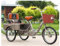Dreiräder Erwachsene Fahrrad Dreirad für Erwachsene für Transport von Passagieren und Ladung, 20-Zoll-Dreirad für Männer/Frauen/Senioren, höhenverstellbares Dreirad-Cruiser-Fahrrad für Radfahren/Ausfl