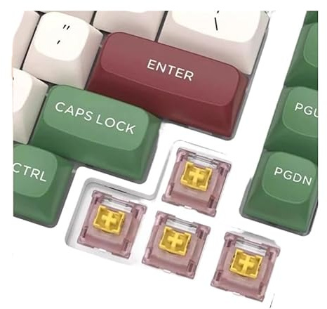 BIANMTSW Silent Peach V3 Switches Mechanical Keyboard Linear Tactile 5Pin Hot swap PA66 Pre Lubed POM BIANMTSW (Silent Peach V3, 110 PCS)