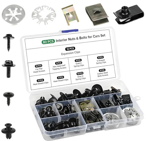 80 viti autofilettanti in acciaio inox, autofilettanti, viti per carrozzeria con dadi, fessura a croce per cofano auto e carrozzeria (senza ruggine)