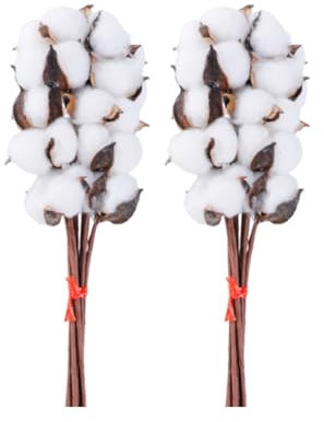 Magicherry 20 steli decorativi in cotone, 36 cm, fiori artificiali in cotone con steli floreali secchi per casa colonica, casa, cucina, matrimonio, ufficio, decorazione per bouquet di Natale, bianco