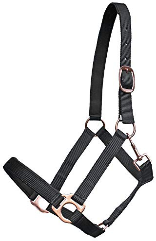 Euroriding Halfter Guide schwarz Rosegold (VB)