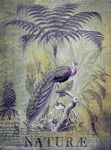Fototapete Vögel ARTist Wohnzimmertapete 2.00 m x 2.70 m Lila Gelb Grau