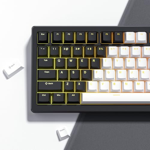 Womier Tastenkappen 60 %, 65 %, 75 %, 100 % Cherry-Profil, Shine-Through, benutzerdefinierte PBT Doubleshot-Tastenkappen-Set, universelle Kompatibilität für Cherry Gateron MX-Schalter-Tastaturen