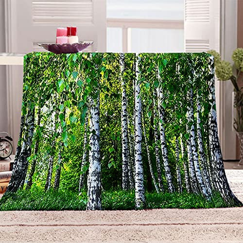 Kuscheldecke Flanell Decke 150X150Cm 3D Drucken Microfaser Weich Flauschige Warm Plüsch Wohndecke Grüne Birke Muster Tagesdecke Fleecedecke Winterdecke Für Sofa Und Bett