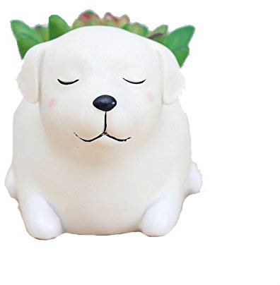 WISH HALLY WOOD Labrador Hund Sukkulenten Übertopf Töpfe für Büro Haus Balkon Landschaft Kreative Dekorative Blumentöpfe (Labrador Hund)